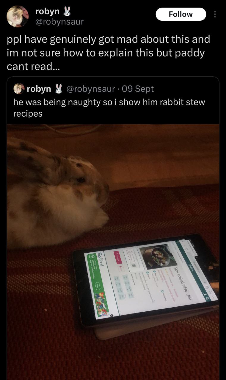 гоБуп have genuinely got mad about this and not sure how to explain this but paddy cant read... robyn У he was being naughty soi show him rabbit stew recipes 1%