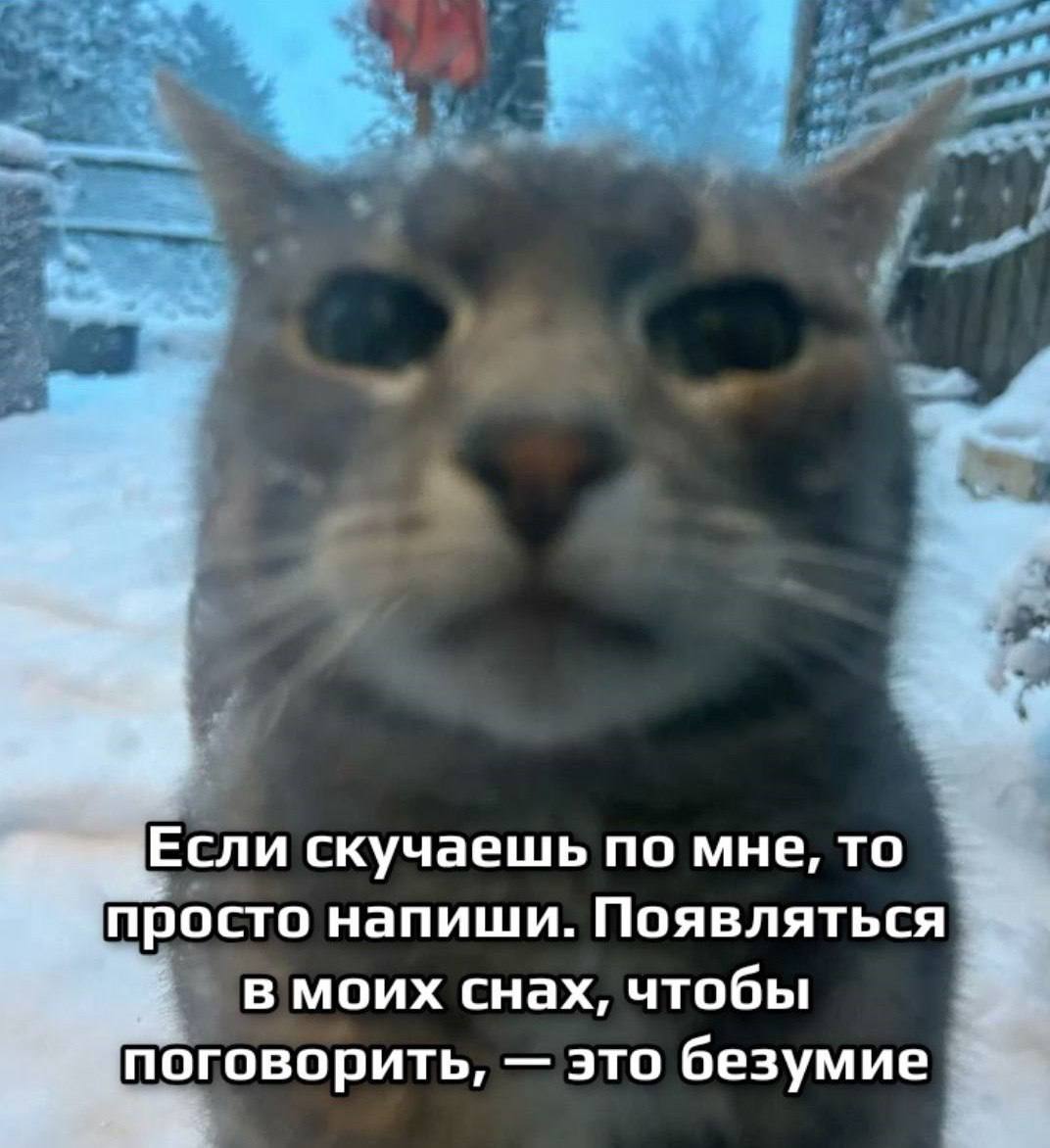 Если скучаешь по мне, то просто напиши. Появляться в моих снах, чтобы поговорить, это безумие
