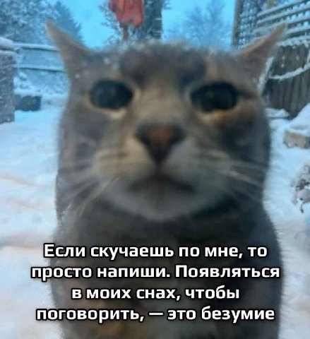 Если скучаешь по мне, то просто напиши. Появляться в моих снах, чтобы поговорить, это безумие