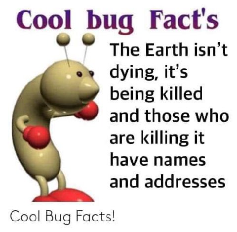 Cool bug Fact's The Earth isn’t dying, it’s being killed and those who are killing it have names and addresses Cool Bug Facts!