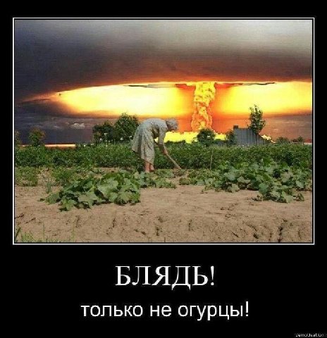 БЛЯДЬ! только не огурцы!
