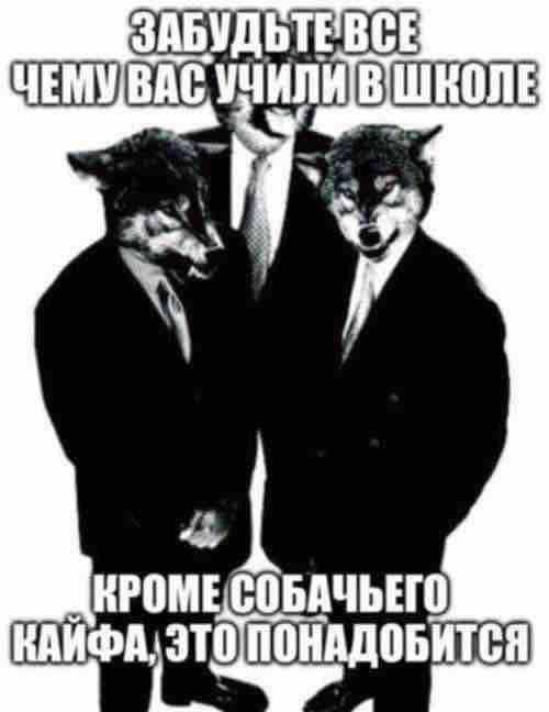 АБУДЬТЕВСЕ ЧЕМУВАС ШКОЛЕ
