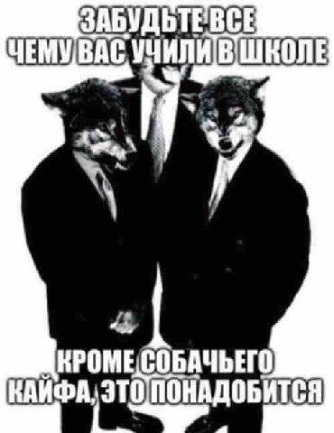 АБУДЬТЕВСЕ ЧЕМУВАС ШКОЛЕ