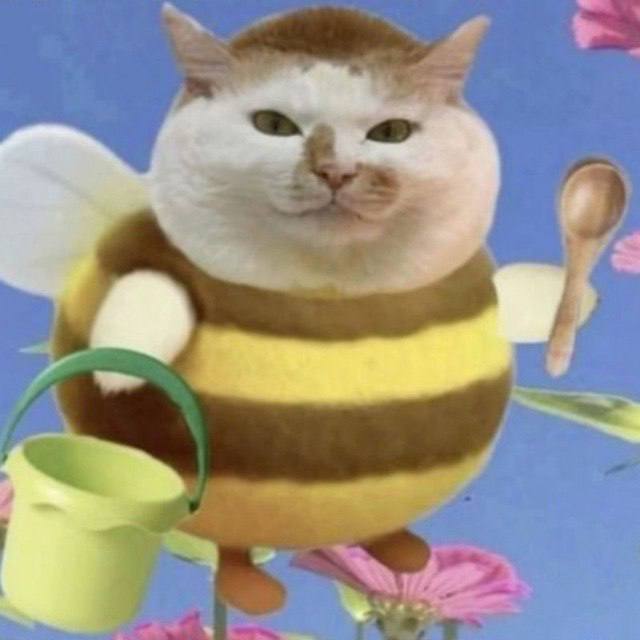 “4 у
