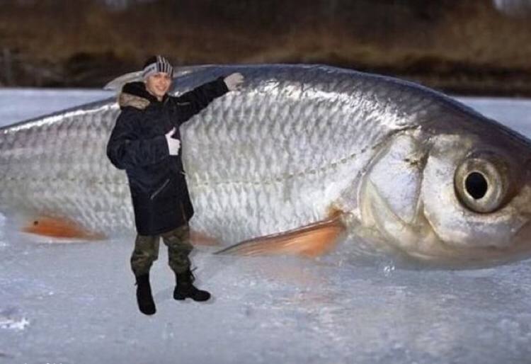у 4 7