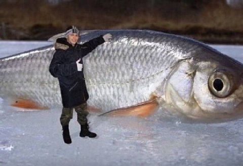 у 4 7