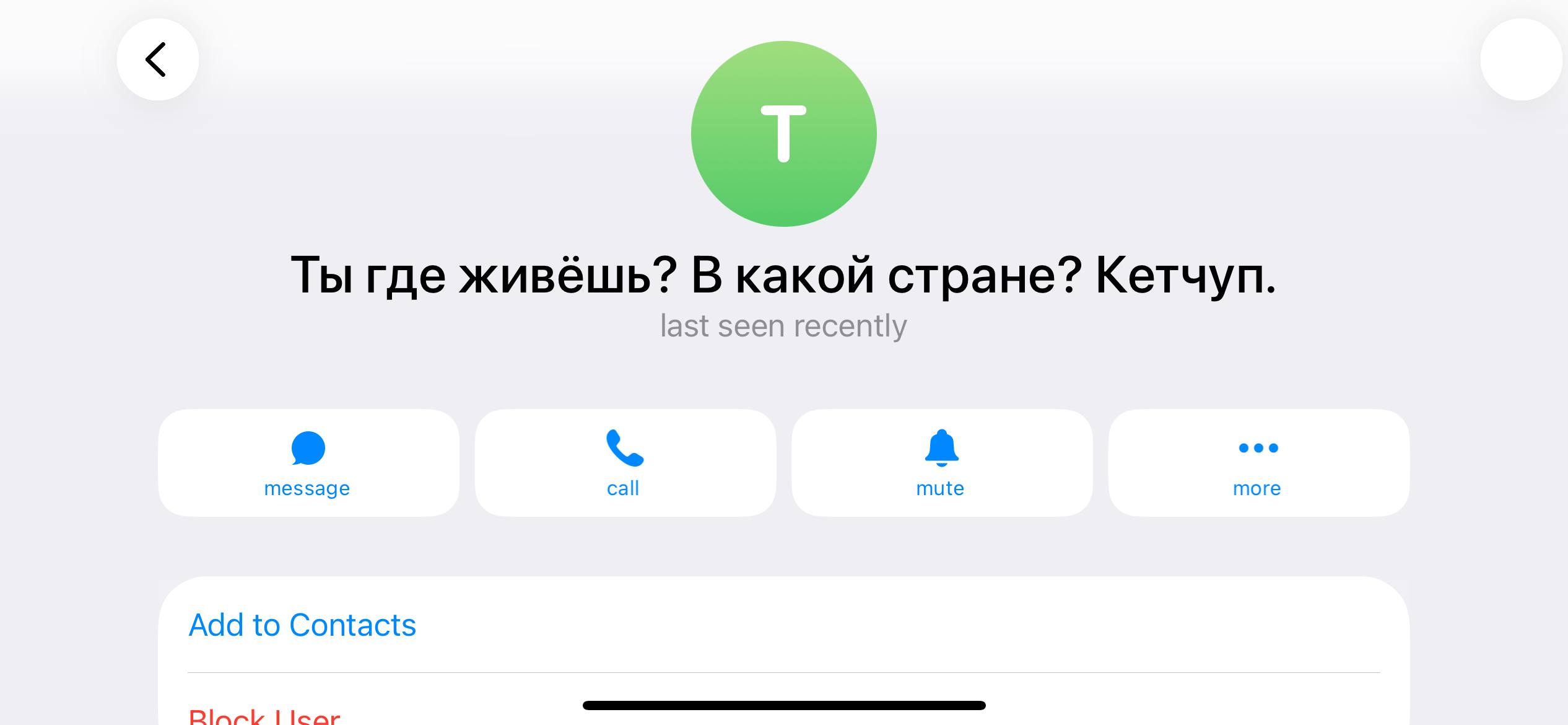 Ты где живёшь? В какой стране? Кетчуп. A eee message call mute more Add to Contacts