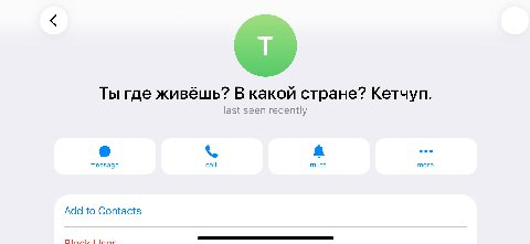 Ты где живёшь? В какой стране? Кетчуп. A eee message call mute more Add to Contacts
