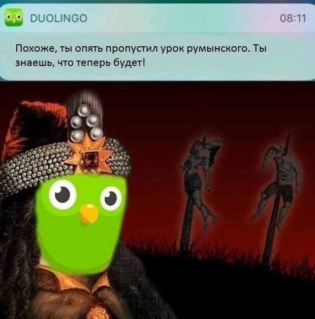 LINGO Похоже, ты опять пропустил урок румынского. Ты знаешь, что теперь будет! eco as 99