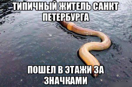 ПОШЕЛ В ЭТАЖИ ЗА ЗНАЧКАМИ