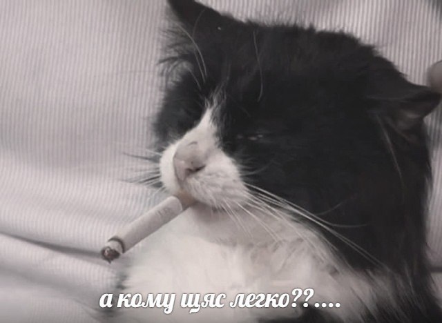 22 а кому щяс легко