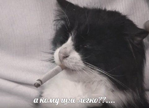 22 а кому щяс легко