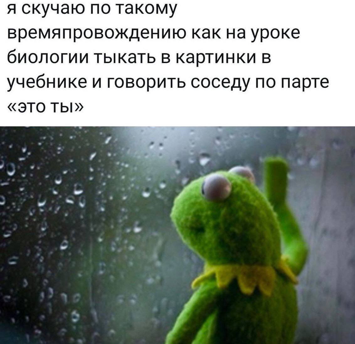 я скучаю по такому времяпровождению как на уроке биологии тыкать в картинки в учебнике и говорить соседу по парте «это ты» 6