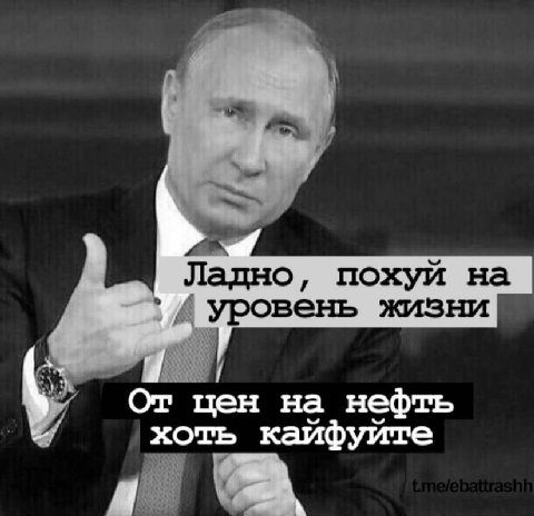 Ладно, похуй на уровень жизни От цен на нефть хоть кайфуите