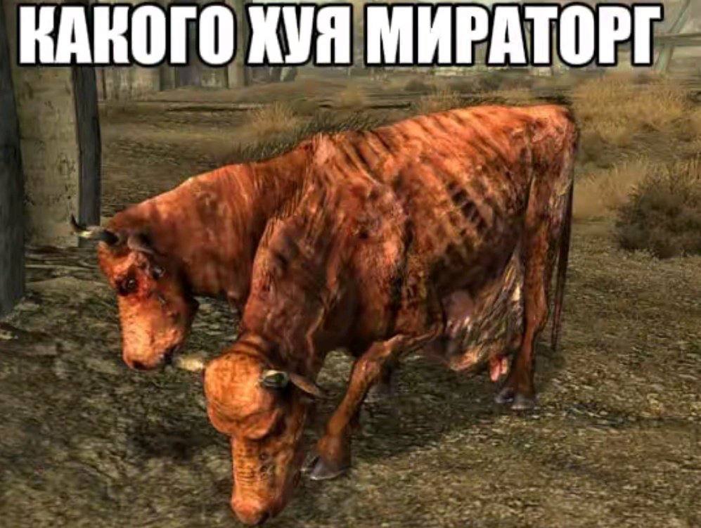 КАНОГО ХУЯ МИРАТОРГ