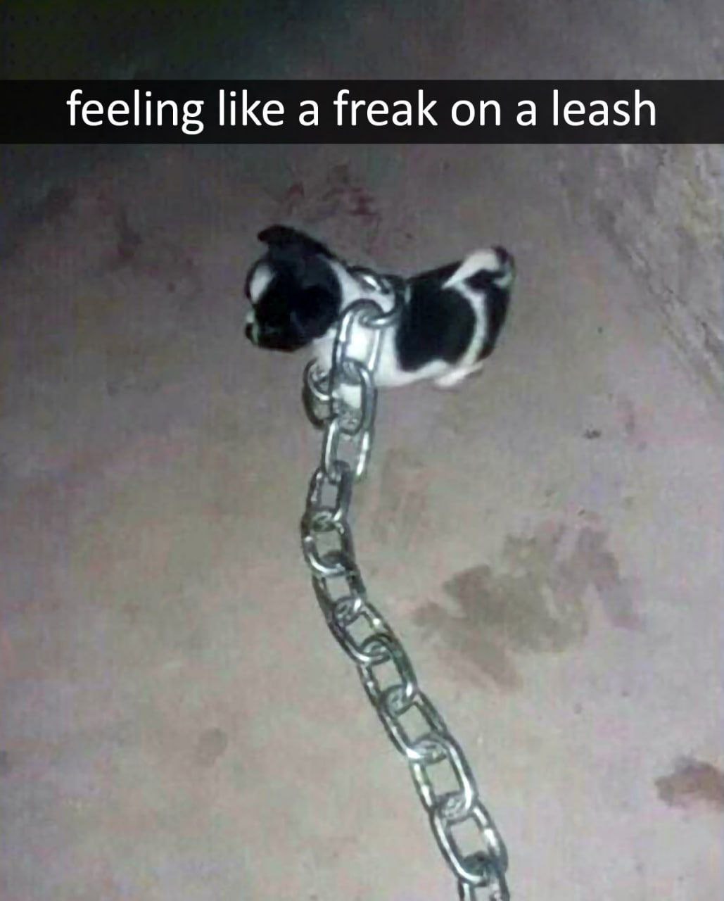 feeling like a freak а leash
