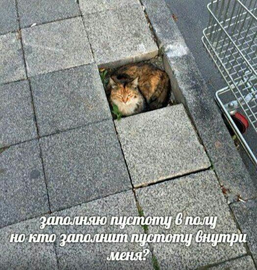 В кто заполнит пустоту 9 меня