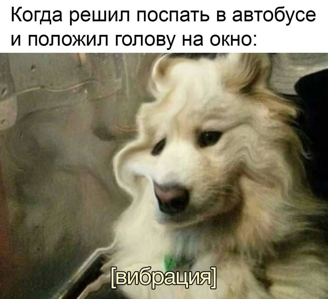 Когда решил поспать в автобусе и положил голову на окно: