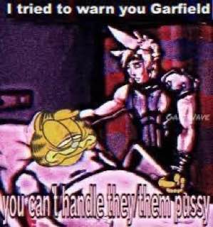 I tried to warn you Garfield