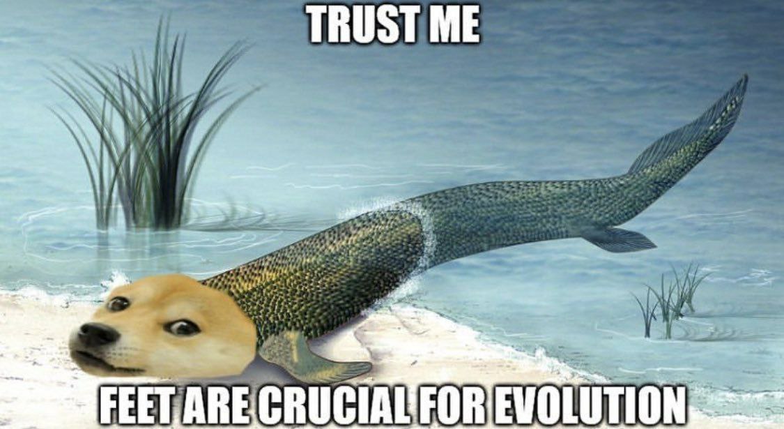 TRUST ME thy
