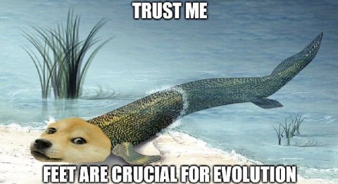 TRUST ME thy