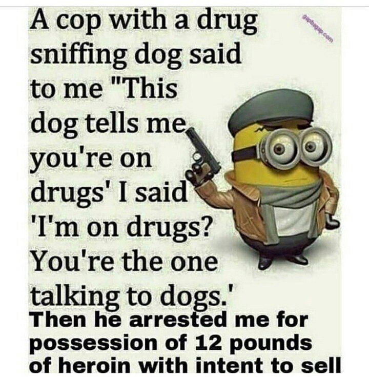 А сор а sniffing dog said to me "This 7 youreon I said on drugs? Youretheone talking to Then he arrested me for possession of 12 pounds of heroin with intent to sell