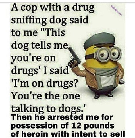 А сор а sniffing dog said to me "This 7 youreon I said on drugs? Youretheone talking to Then he arrested me for possession of 12 pounds of heroin with intent to sell