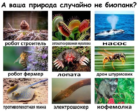 А ваша природа случайно не биопанк? а робот строитель автоматизированная мухоловка насос ME робот фермер лопата дрон штурмовик 4 противопехотная мина электрошокер кофемолка