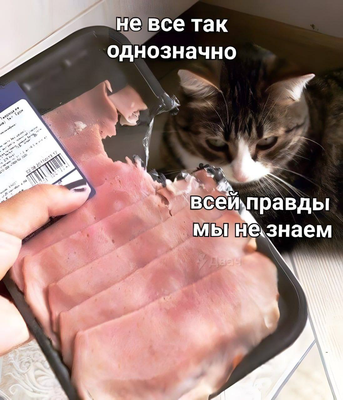 не все так однозначно Ley мы назнаем