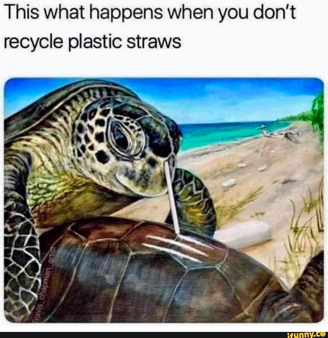 This what happens when you don't recycle plastic straws