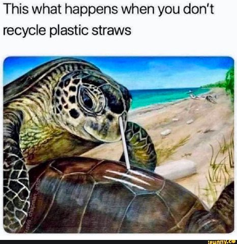 This what happens when you don't recycle plastic straws