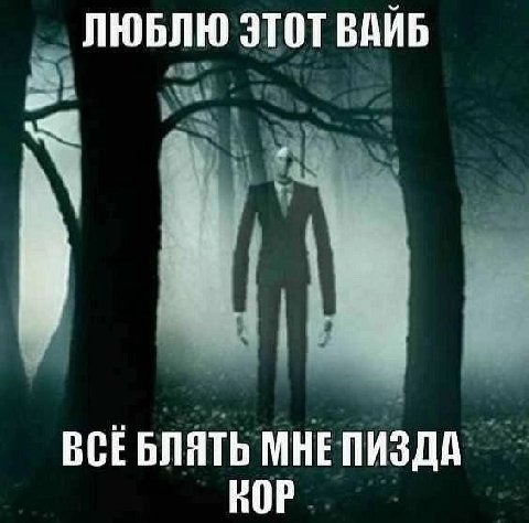 ЛЮБЛЮ ЭТОТ ВАЙБ ВСЕБЛЯТЬ МНЕ ПИЗДА КОР