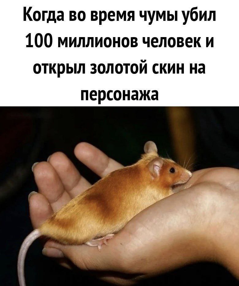 Когда во время чумы убил 100 миллионов человек и открыл золотой скин на персонажа