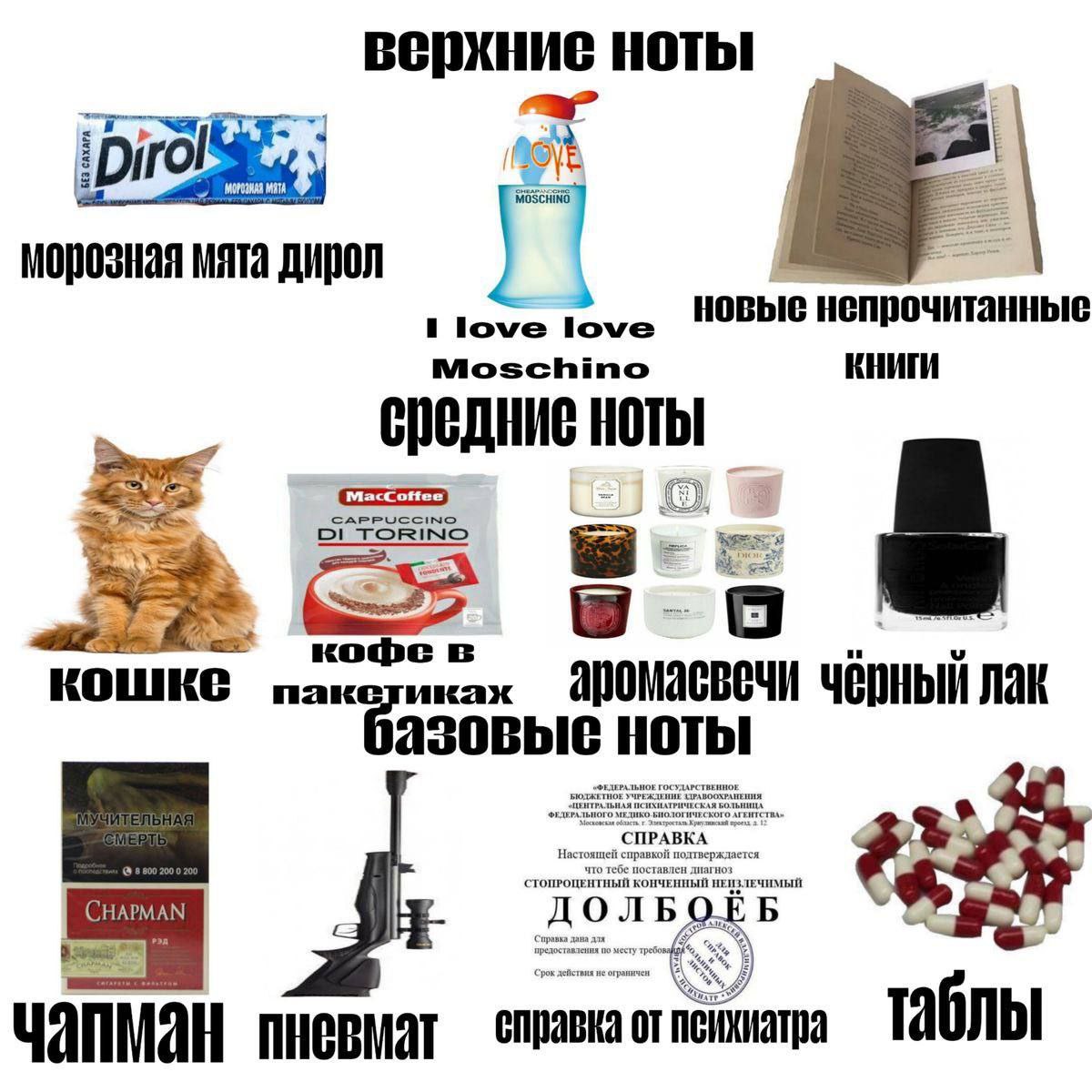 верхние ноты морозная мята дирол i новые непрочитанные Moschino КНИГИ средние ноты a КОШКЕ Лак базовые ноты “TOIBOLB пневмат справка от психиатра