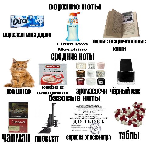 верхние ноты морозная мята дирол i новые непрочитанные Moschino КНИГИ средние ноты a КОШКЕ Лак базовые ноты “TOIBOLB пневмат справка от психиатра