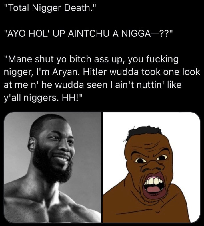"Total Nigger Death." "AYO HOL' UP AINTCHU A NIGGA—??" "Mane shut bitch ass up, you fucking nigger, Aryan. Hitler wudda took one look at wudda seen ain't nuttin' like y'all niggers. У cil