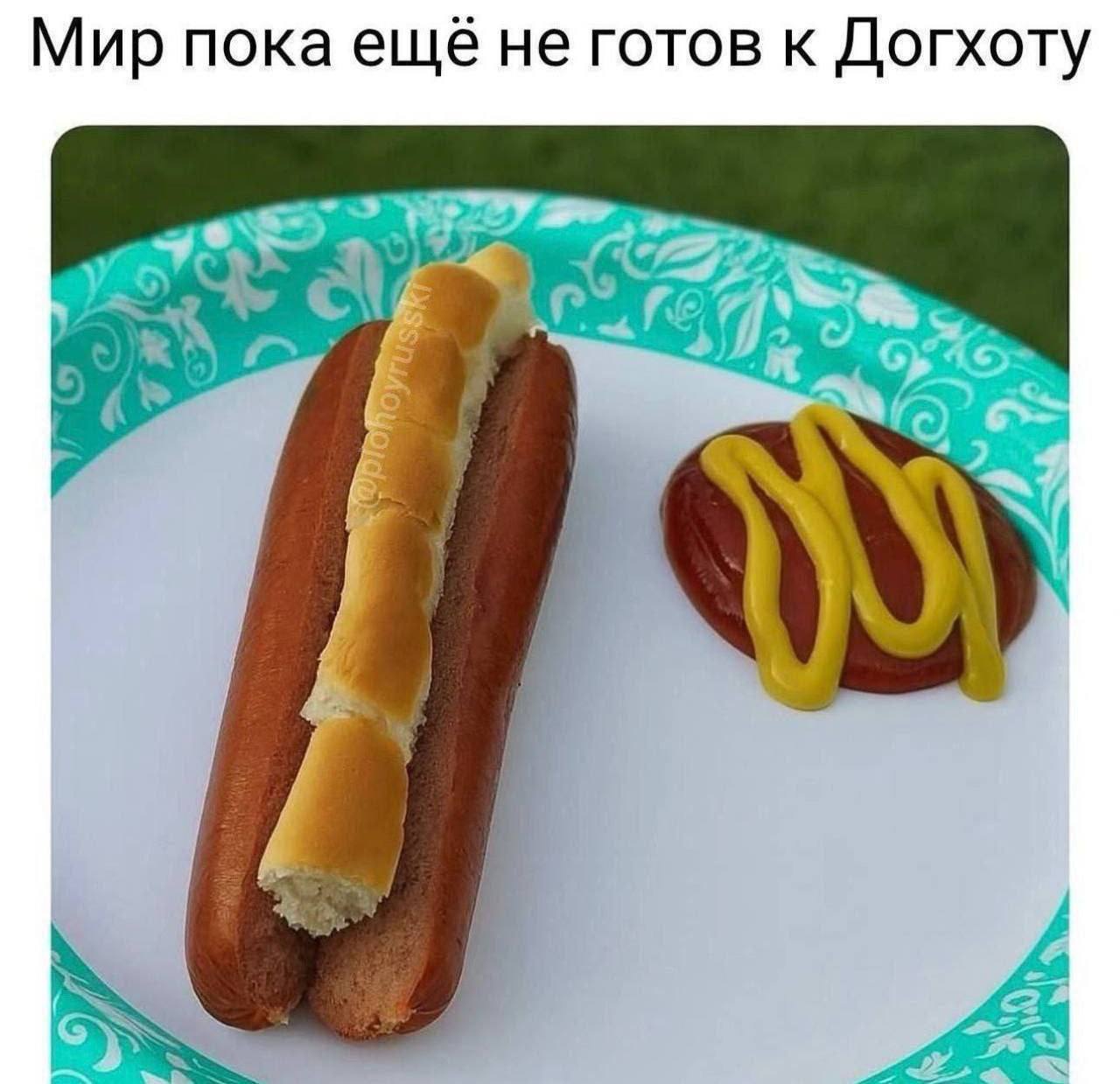 Мир пока ещё не готов к Догхоту