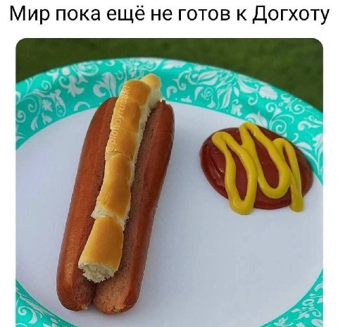 Мир пока ещё не готов к Догхоту