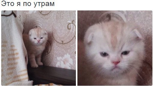 это я по жизни