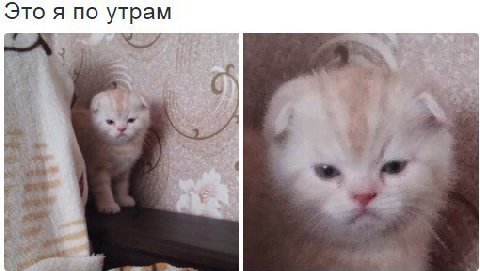 это я по жизни