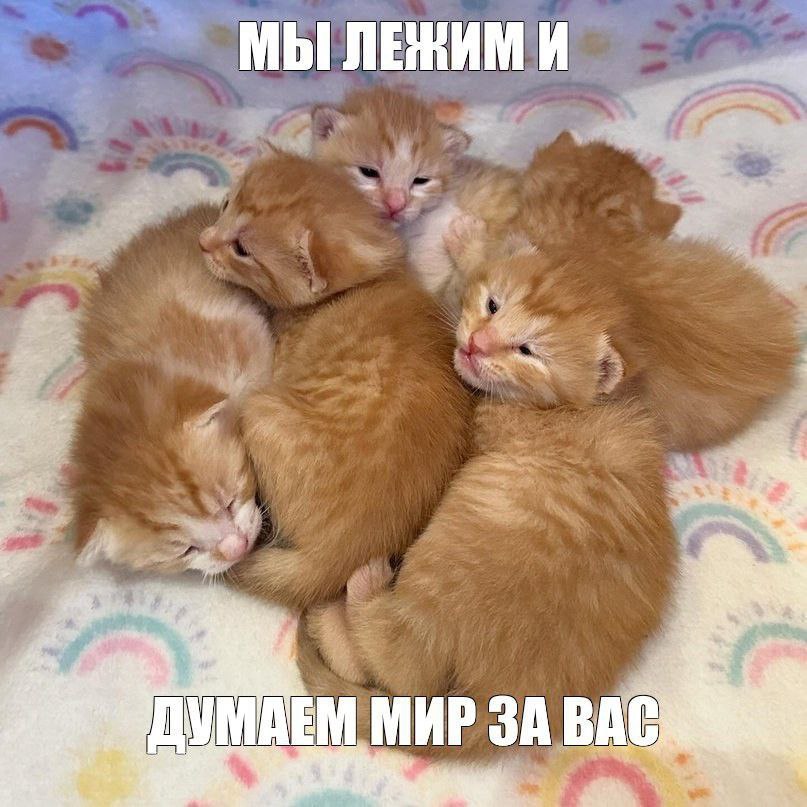 ЛЕНИМ И 43 AEM МИР ЗА ВАС
