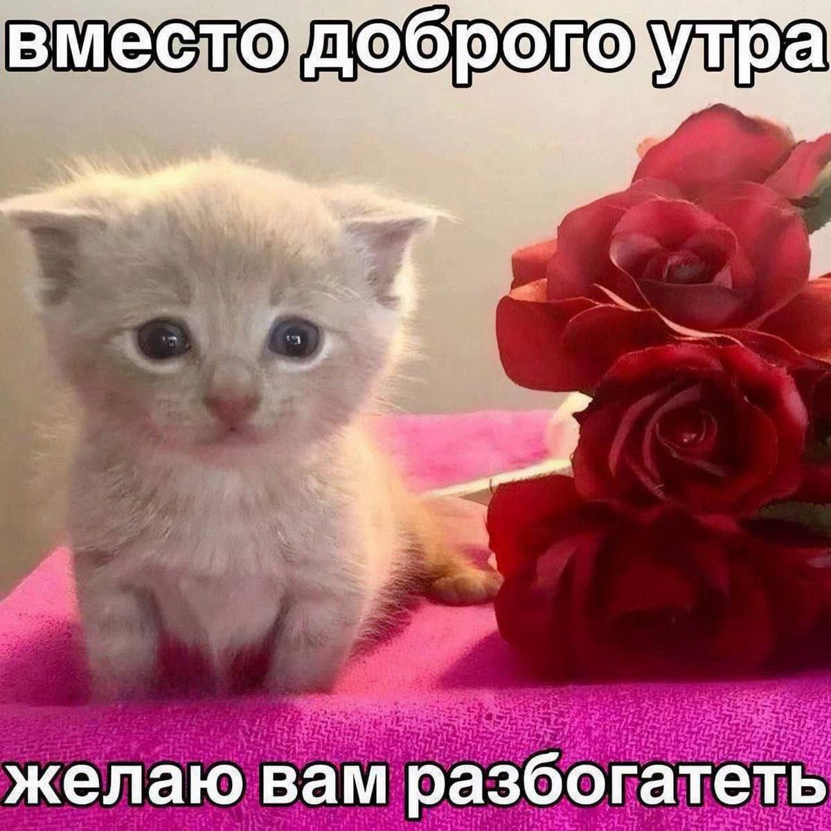 разбогатеть у желаю вам разбогатеть