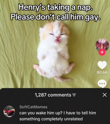 Henry's taking a пар. Please don't call him gay. 1 80.6К 1,287 comments can you wake him up? have to tell him something completely unrelated