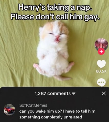 Henry's taking a пар. Please don't call him gay. 1 80.6К 1,287 comments can you wake him up? have to tell him something completely unrelated