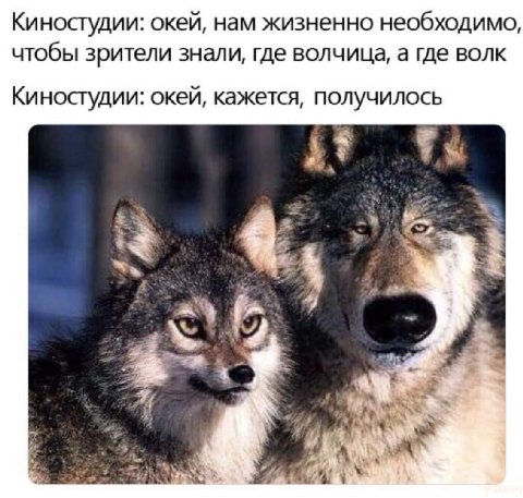 Киностудии: окей, нам жизненно необходимо, чтобы зрители знали, где волчица, а где волк Киностудии: окей, кажется, получилось 7% we