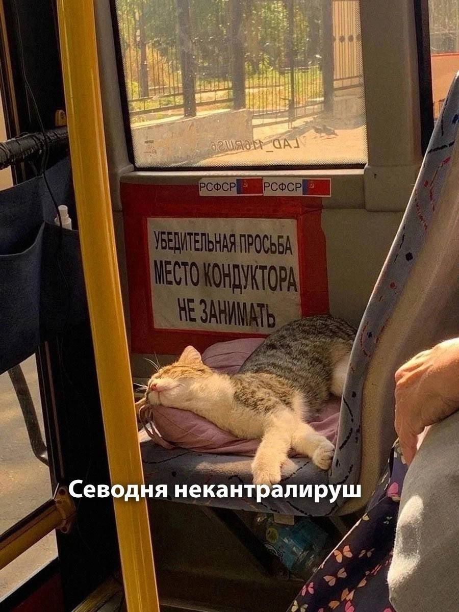 "4 1 4 РСФСР a 4 a УБЕДИТЕЛЬНАЯ ПРОСЬБА АТА i 4 9 Севодня некантралируш 4-2