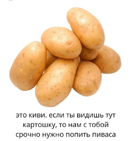 это киви. если ты видишь тут картошку, то нам с тобой срочно нужно попить пиваса