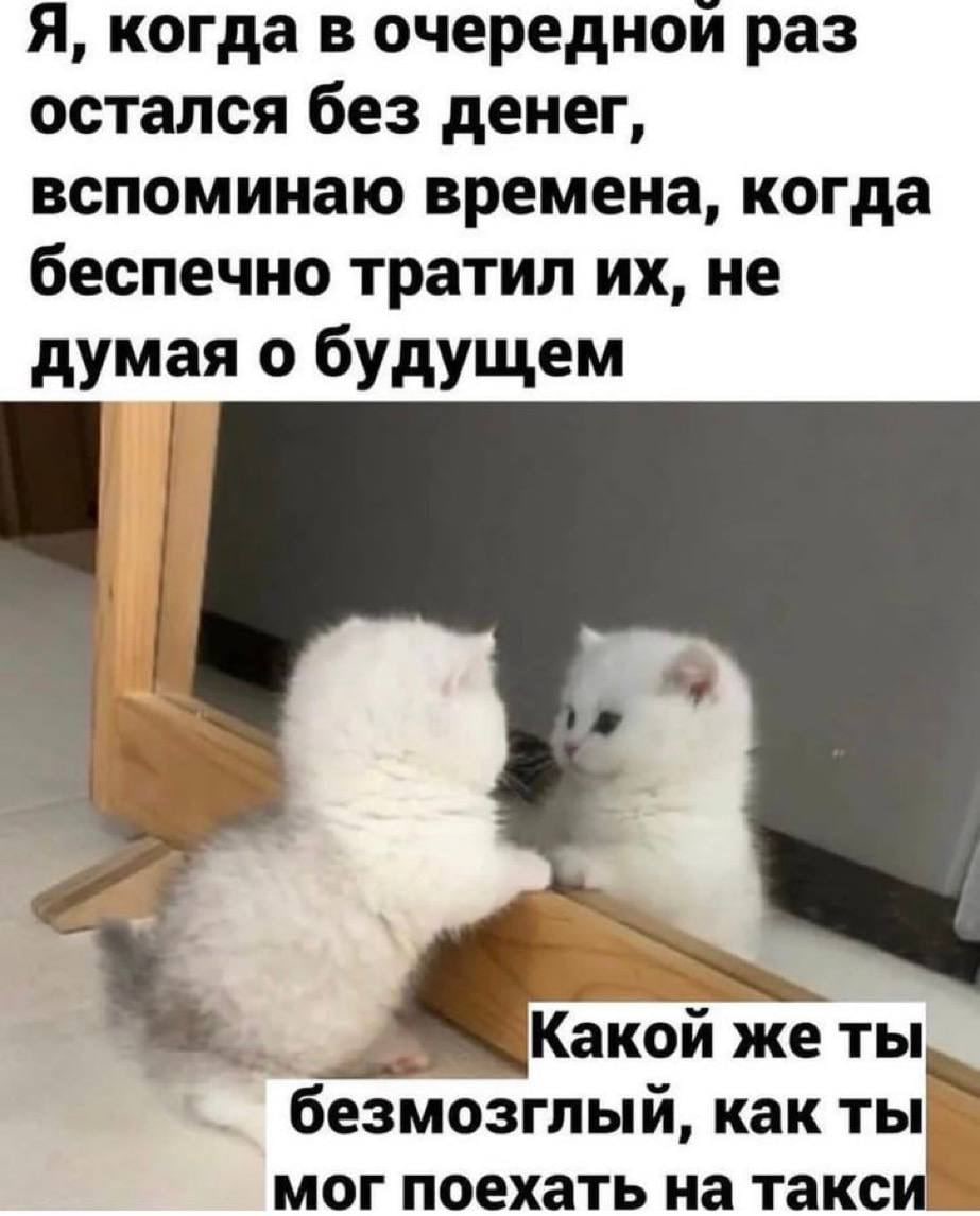 Я, когда в очереднои раз остался без денег, вспоминаю времена, когда беспечно тратил не думая о будущем Какой же ты безмозглый, как мог поехать на такс
