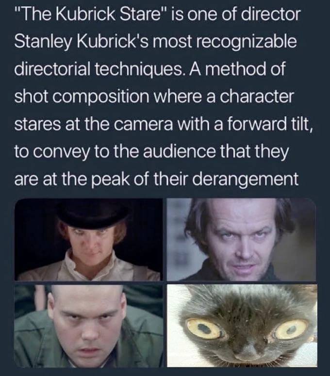 "Тре Kubrick Stare" is one of director Stanley Kubrick's most recognizable directorial techniques. A method of shot composition where a character stares at the camera with a forward tilt, to convey to