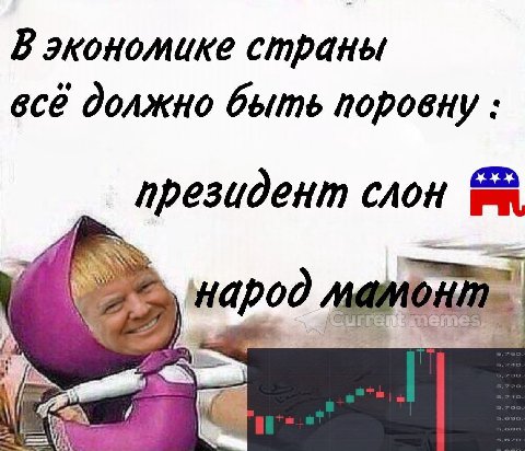 В экономике страны всё должно быть поровну президент слон народ 1 mes